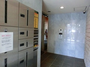 CIMG0387.jpg